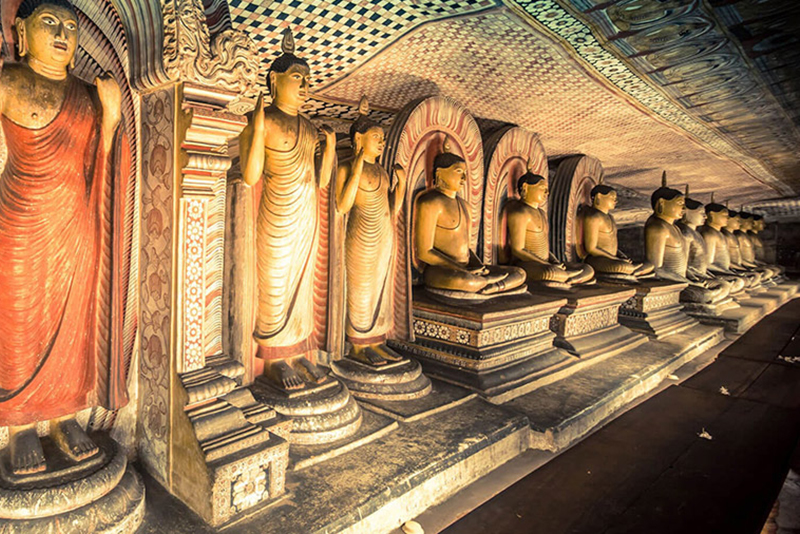 Friends Lanka Toursg